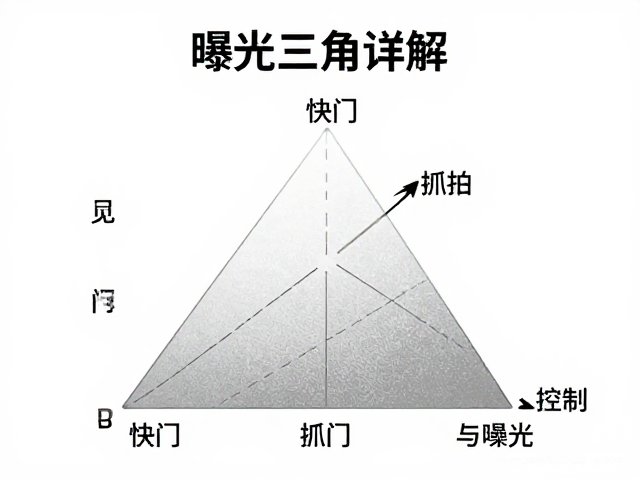 感光度（ISO）的噪点控制与画质底线