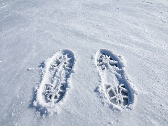 冰雪环境下的视觉陷阱与社交距离