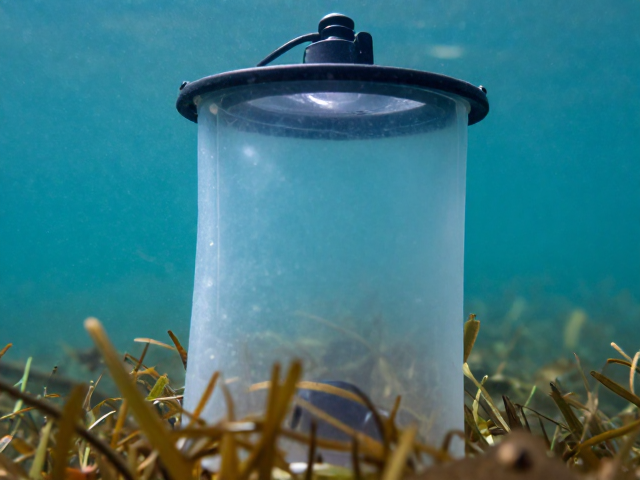水下微观世界的生态切片