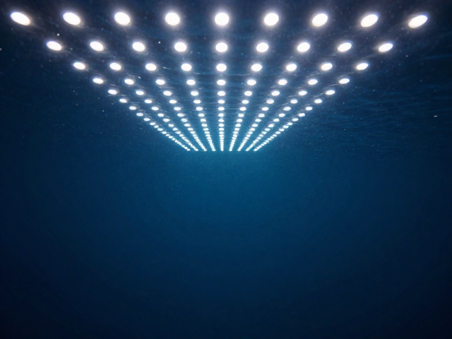 LED补光灯的光质控制与氛围营造