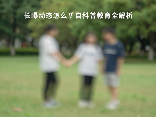 景深控制与画面层次构建