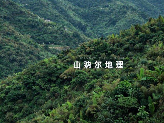 生态取景的视觉分层策略