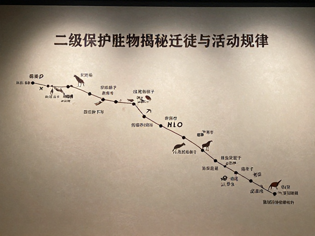 迁徙路线与环境因子的耦合