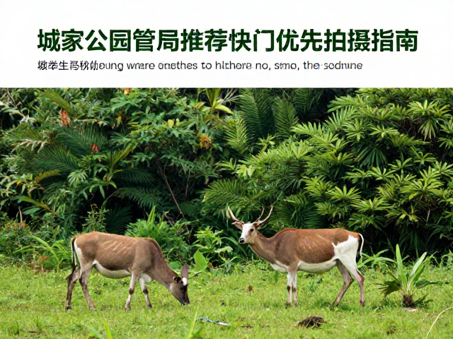 城郊生态探秘:国家公园的自然馈赠
