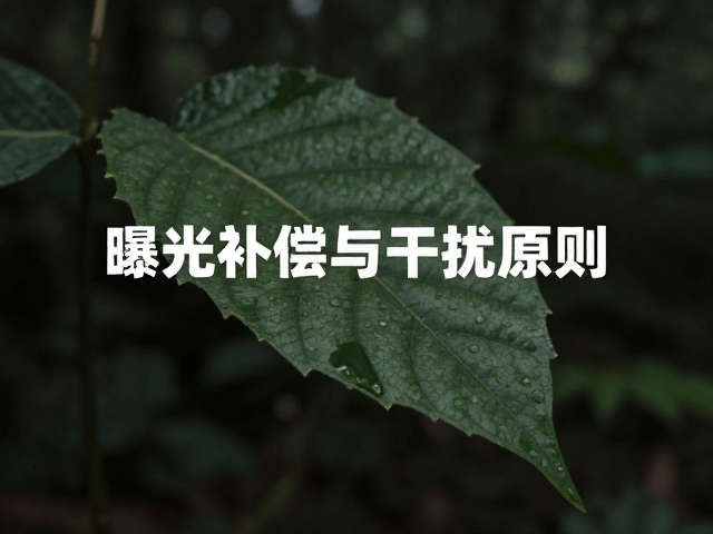 不干扰原则的生态伦理与执行细节
