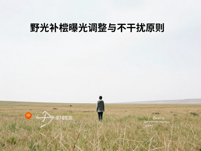 曝光补偿的核心逻辑与场景应用