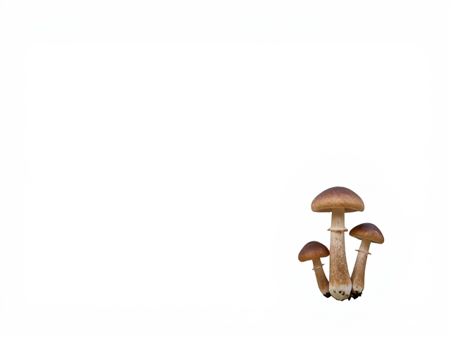 微观下的生命张力
