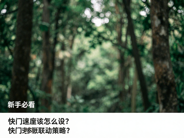 实战中的参数联动策略