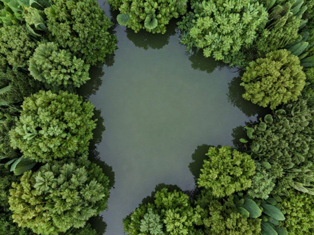 杭州湿地秘境的自然底色
