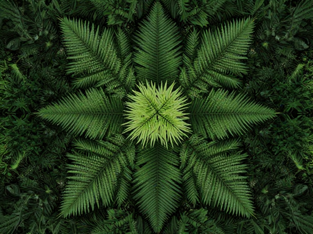 纪实语境下的形式探索