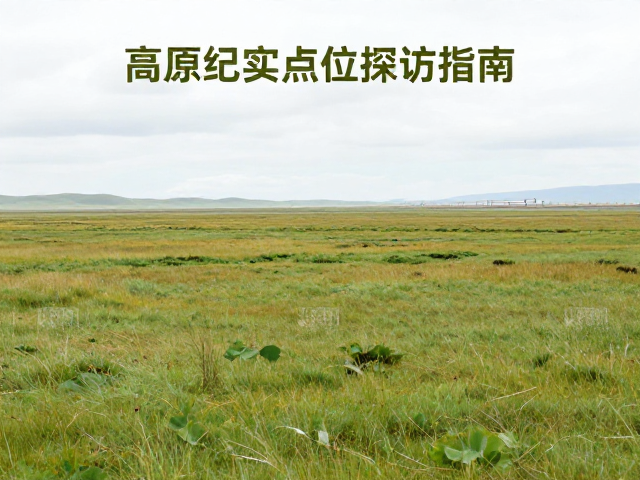 实地探访的行为规范与注意事项