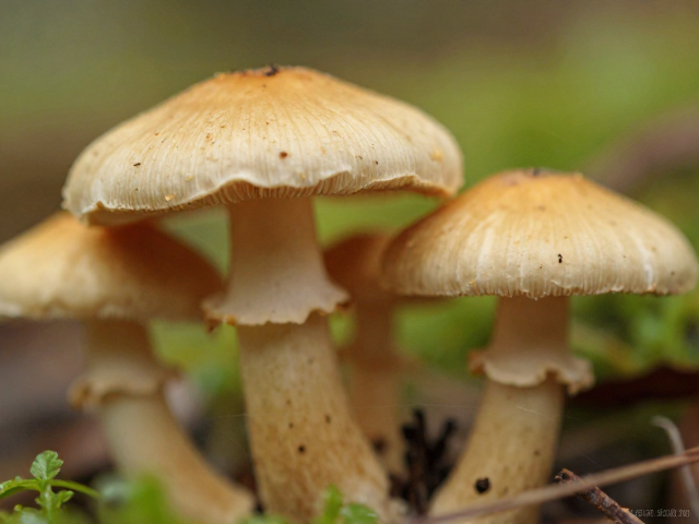 科学教育与视觉传播：重塑公众认知