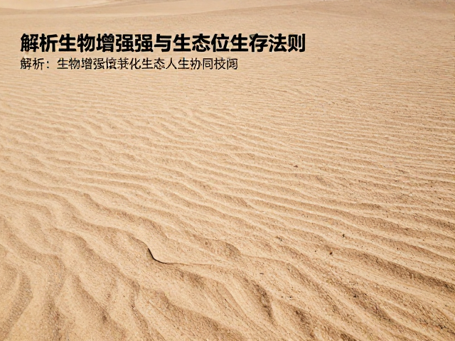 环境压力与生物适应的协同机制