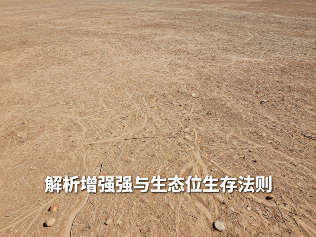 纪实视角下的生态保护启示