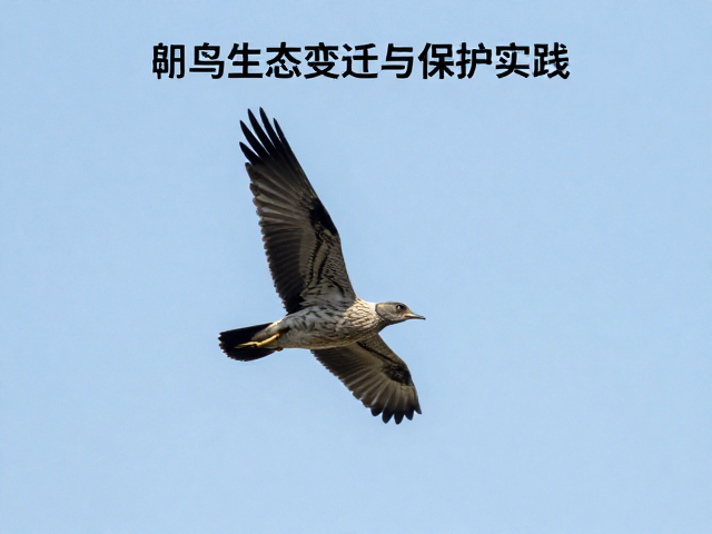 数据驱动的精准保护