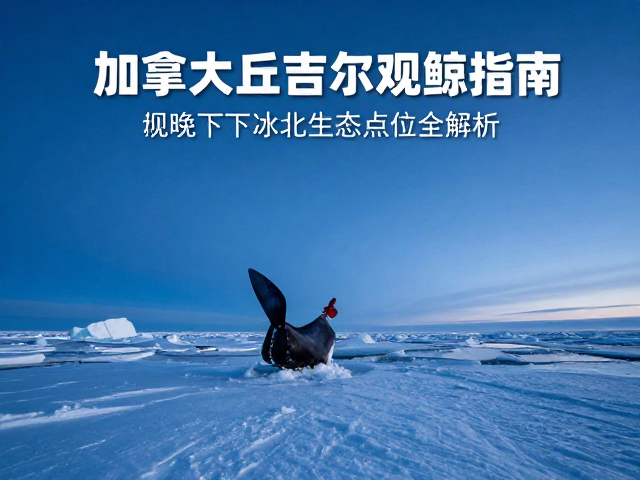 冰雪生态与浮冰观测风险