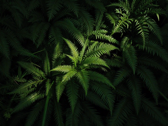 色彩与光影：强化情绪氛围的自然过渡