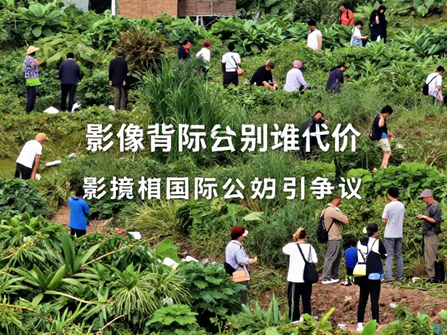 影像背后的生态代价