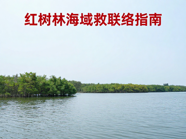 红树林海域急救联络指南