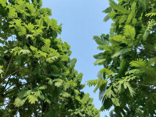 运用色彩心理学协调画面色调