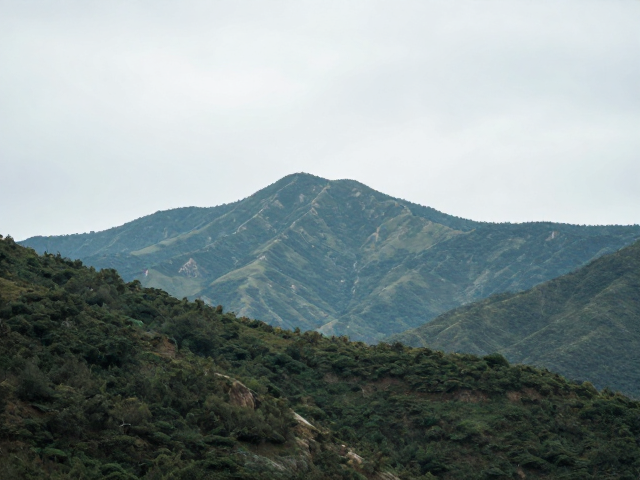 局部调整与动态范围管理
