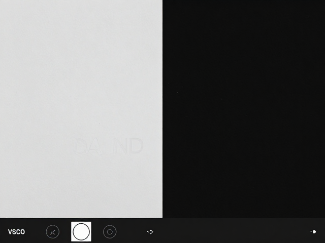 VSCO不同档位ND效果差异?手机APP创意特效滤镜实测