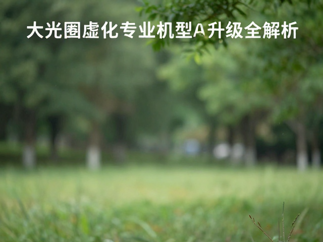 实用对焦策略与辅助工具的应用