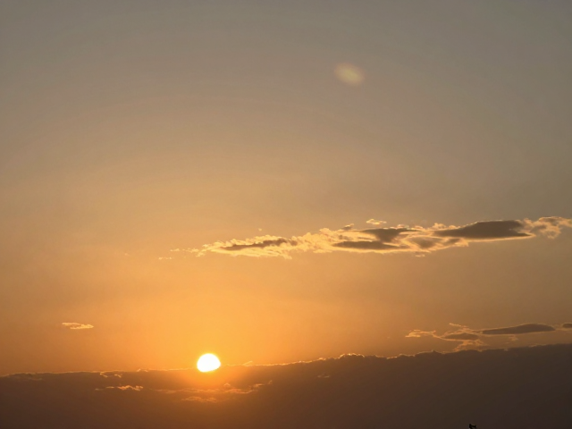 夕阳侧光，勾勒立体轮廓