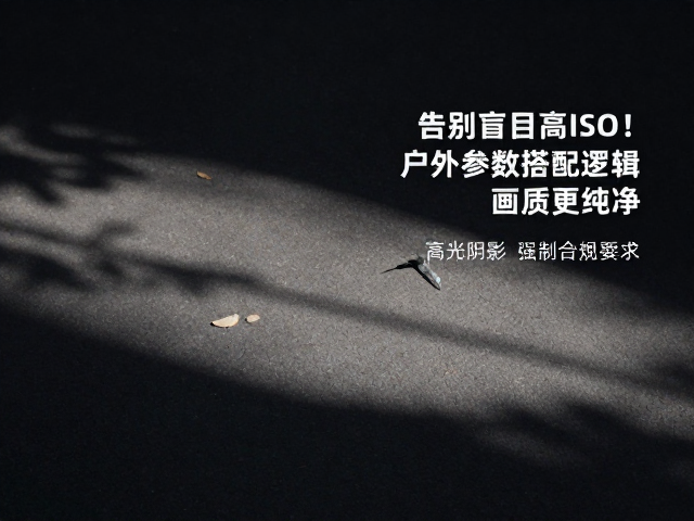 高光与阴影的动态范围控制