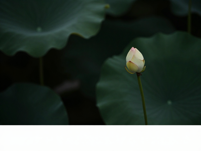 常见误区与后期微调技巧