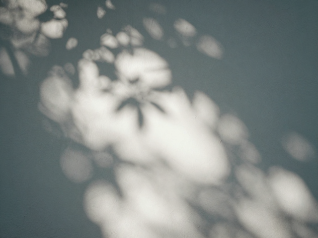 捕捉光影魔术:自然光线的质感塑造