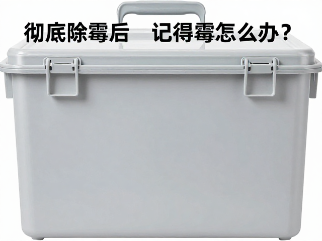 专业除霉的操作逻辑与风险规避