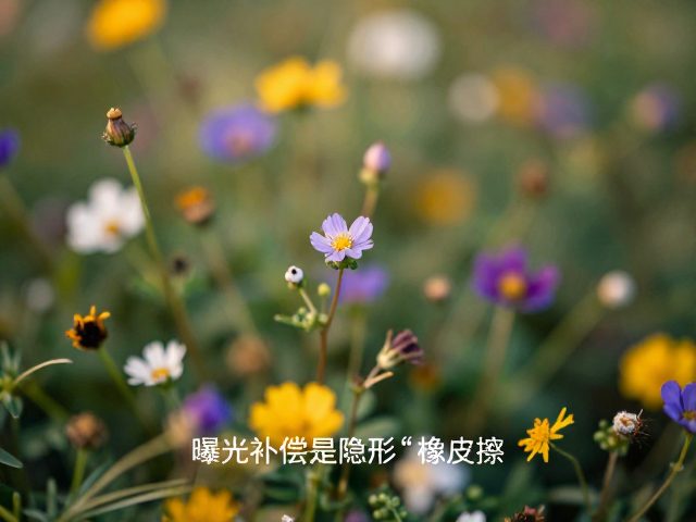 花草微距构图杂乱?试用曝光调整拯救废片