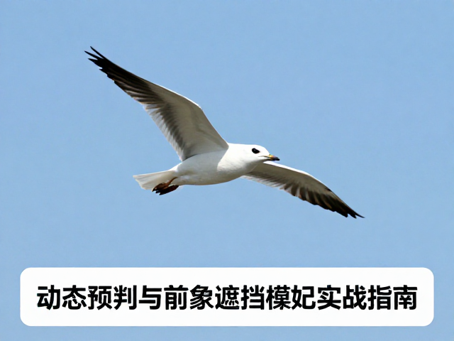 实战技巧:对焦模式与连续拍摄的数据流管理