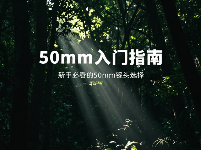 实战拍摄中的构图与曝光策略