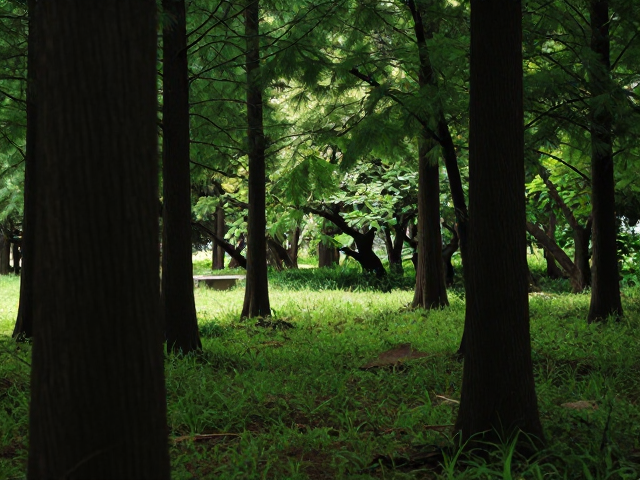 光影与色彩的协同:提升视觉张力
