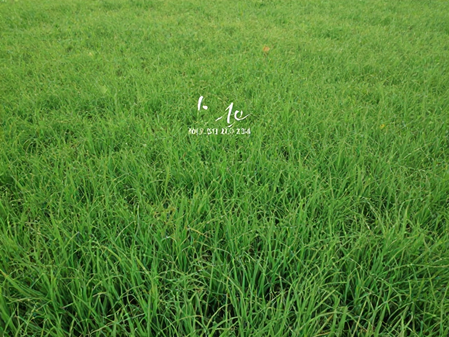 色彩与虚实的从属关系