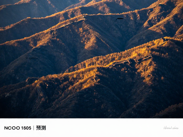 精准构图与设备参数设置