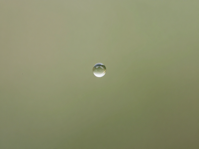 微观视角重构,挖掘细节叙事魅力