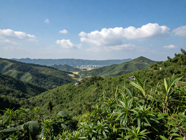 典型应用场景与数据处理流程