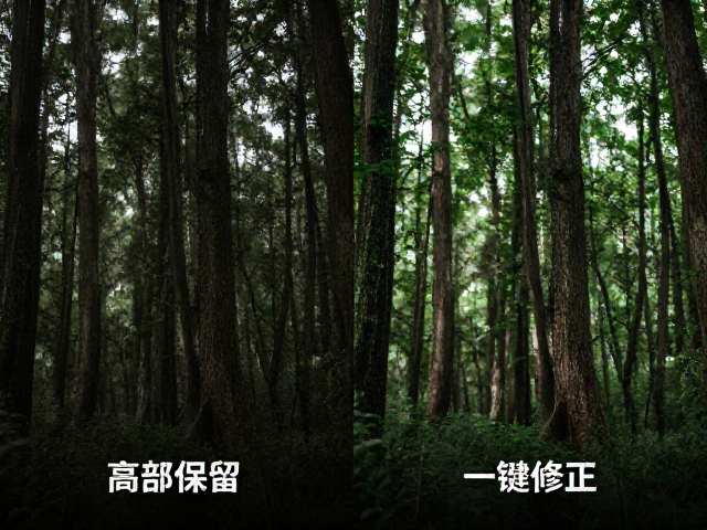细节还原与色彩校正