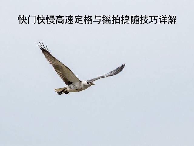 实战场景下的参数微调策略