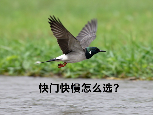 高速定格:捕捉瞬间的技术参数