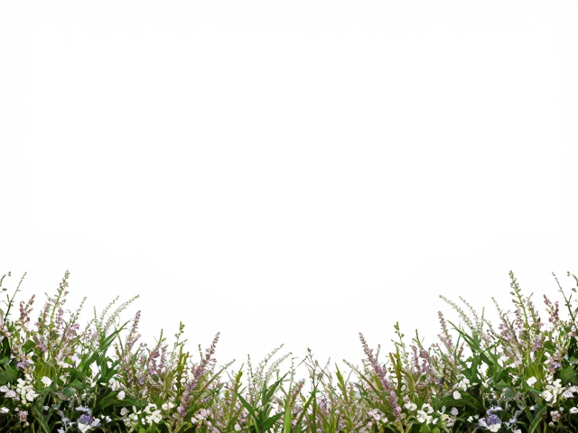 极简对称构图,花草前景打造高级感摄影大片