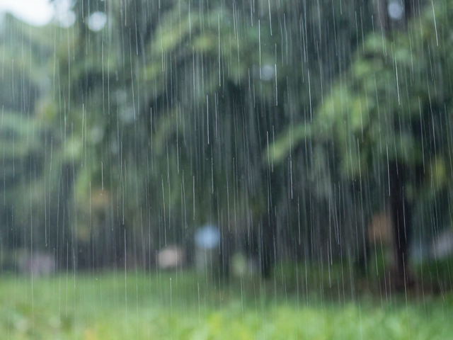 光学系统的雨水干扰与清洁策略