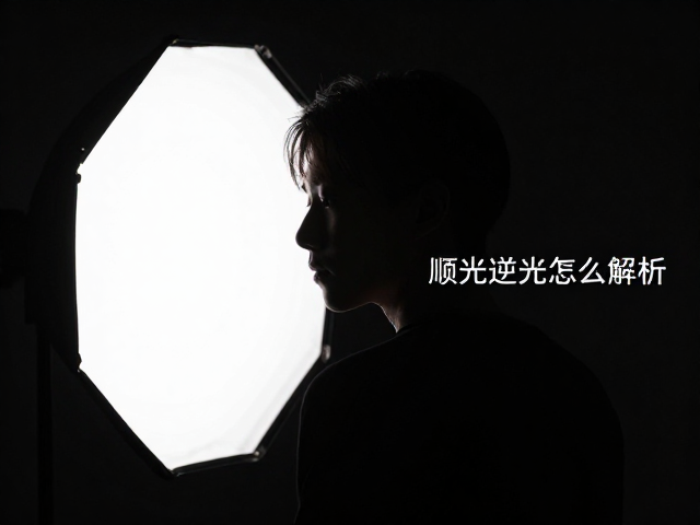 逆光剪影的艺术表现与曝光控制