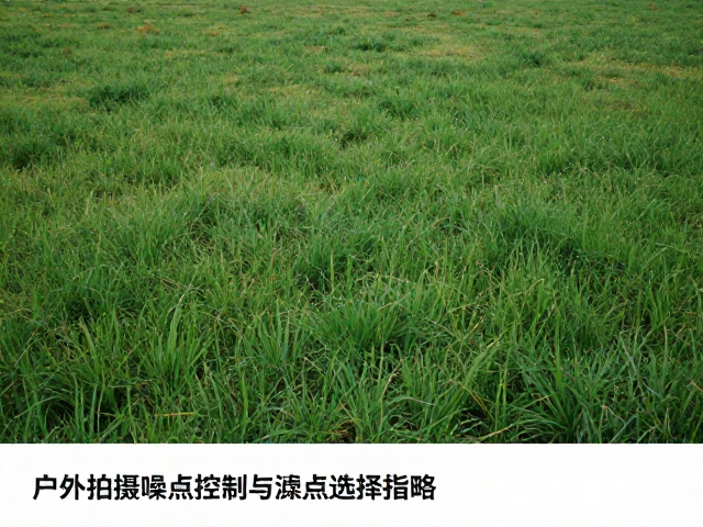 户外拍摄中的噪点控制策略
