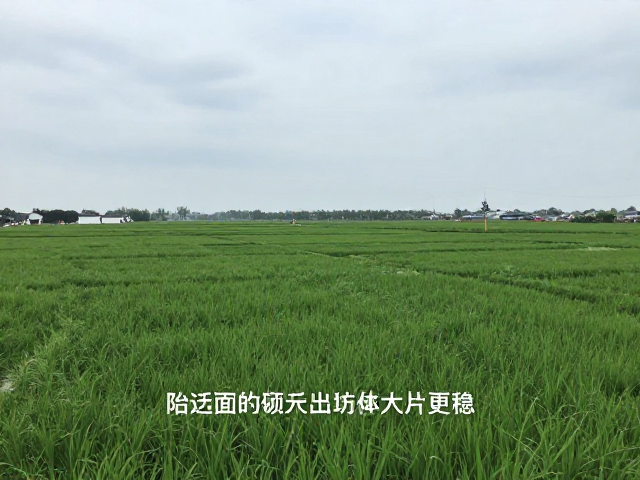 常见误区与稳定性优化细节
