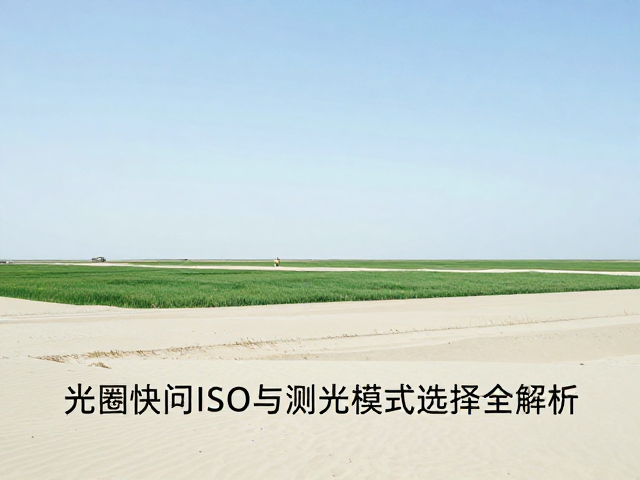 ISO感光度的纯净度权衡