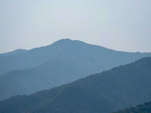 对焦策略与景深控制